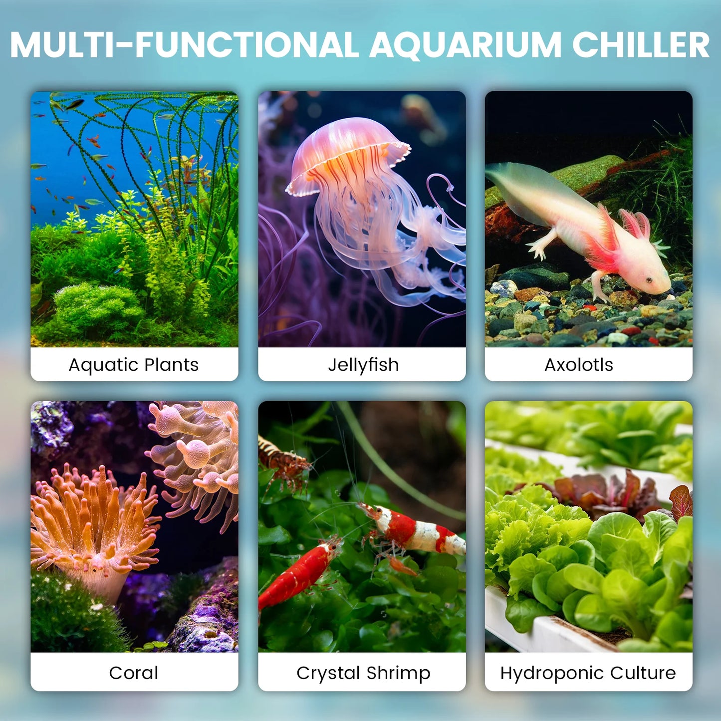 Aquarium Chiller Axolotl Adjustable Temperature One Half HP Water Cooler