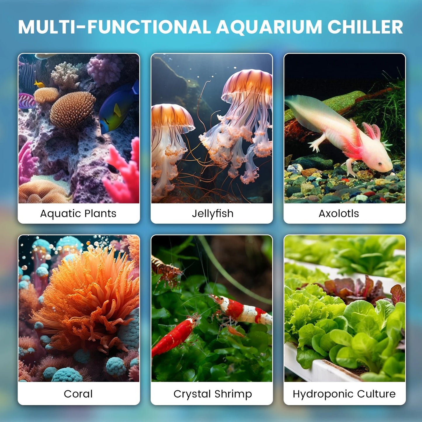 Aquarium Chiller One Third HP Water Cooling System With LED Display