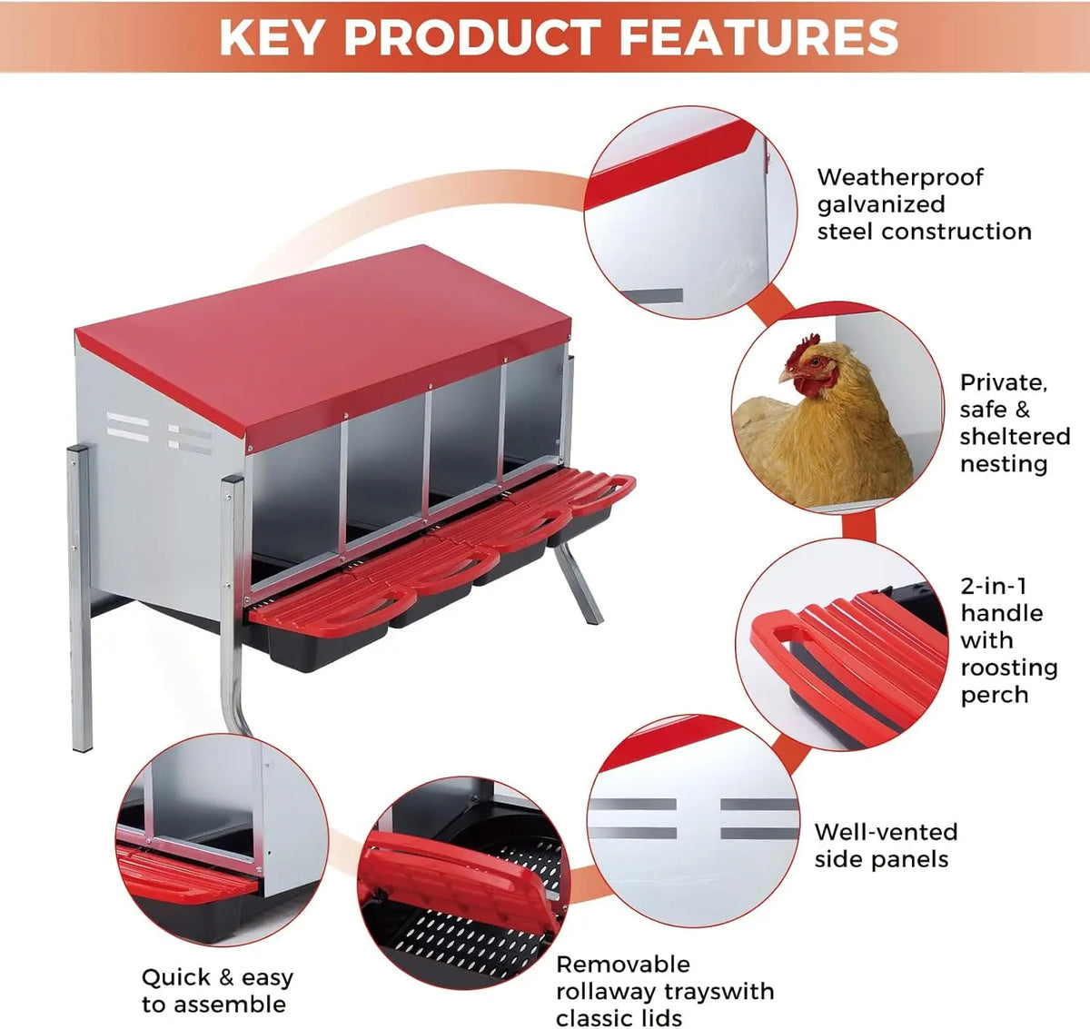 Twister CK Multi Compartment Automatic Egg Collection Nesting Box