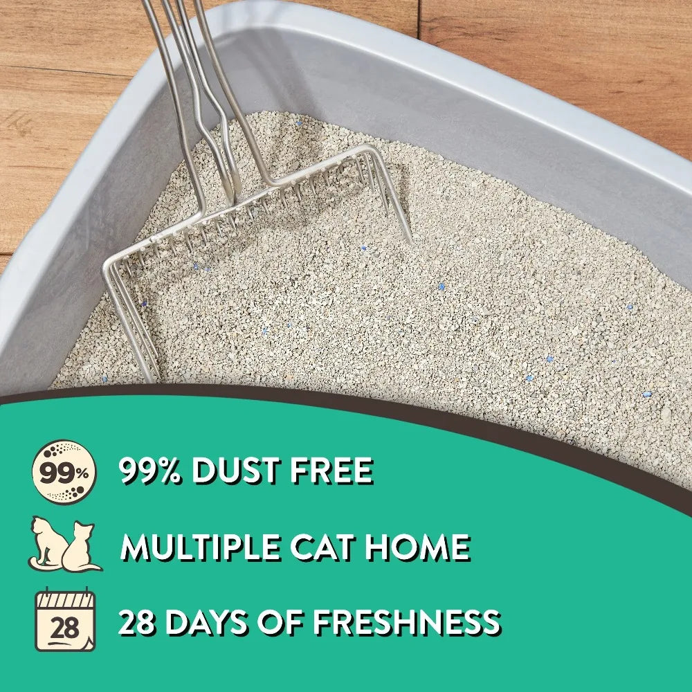 Special Kitty Clumping Cat Litter For Effective Odor Control