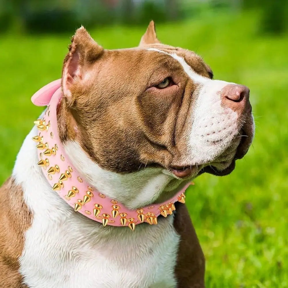 Adjustable Spiked PU Leather Dog Collar With Decorative Rivets