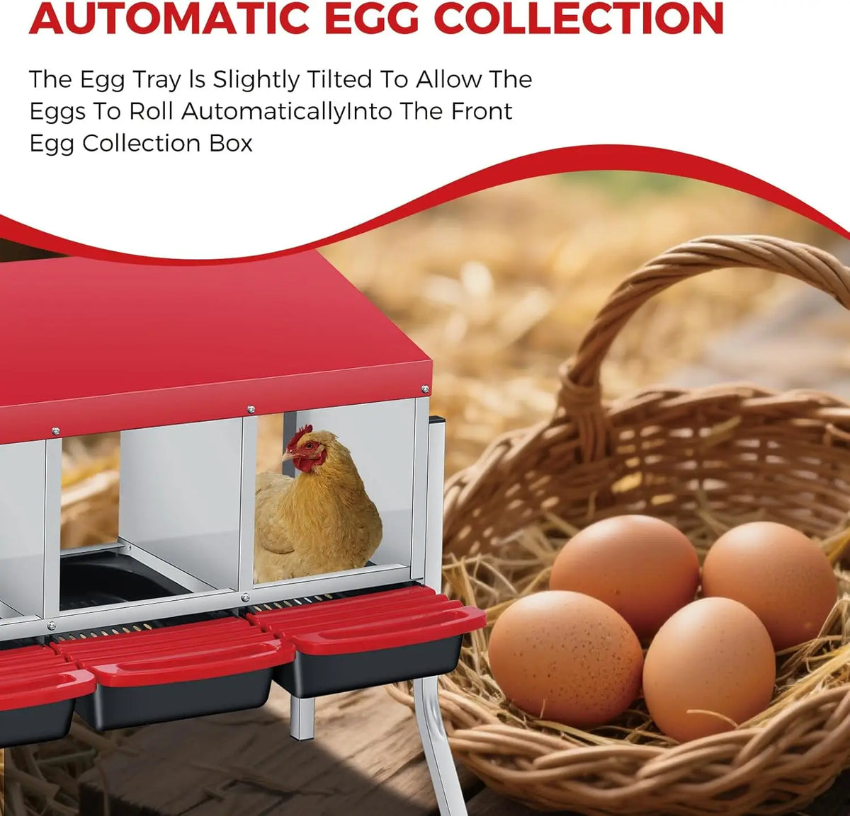 Twister CK Multi Compartment Automatic Egg Collection Nesting Box