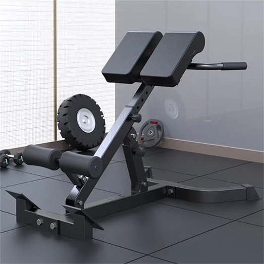 Folding Roman Chair Back Extension Bench Adjustable Hyperextension Home Gym