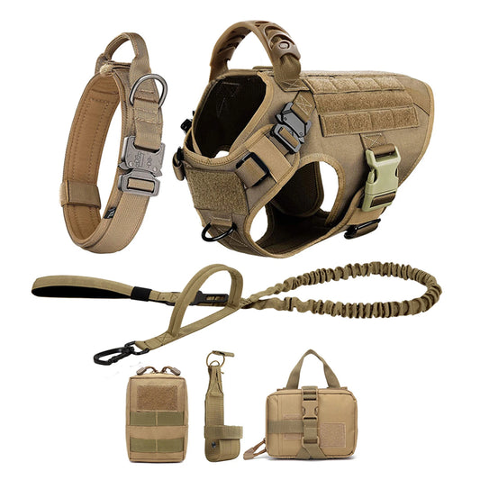 Petavel Padded Nylon Dog Harness And Leash Set For Pets