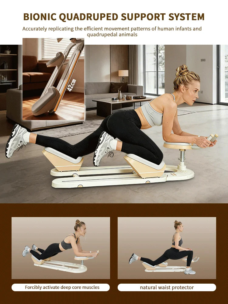 Professional Spinal Twist Back Stretch Trainer For Home Exercise