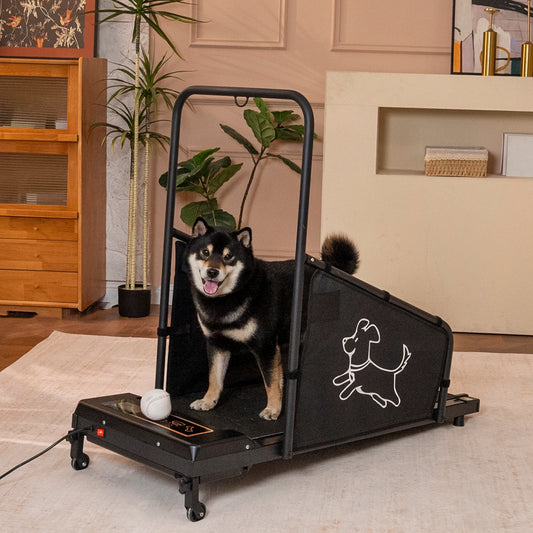 Indoor Dog Treadmill Featuring Quiet Motor And Safety Rails