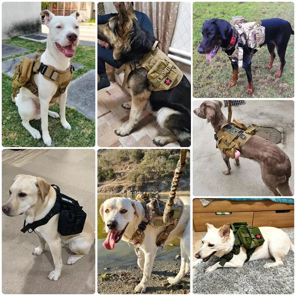 Petavel Dog Tactical Molle Pouches Harness Set For Military Training