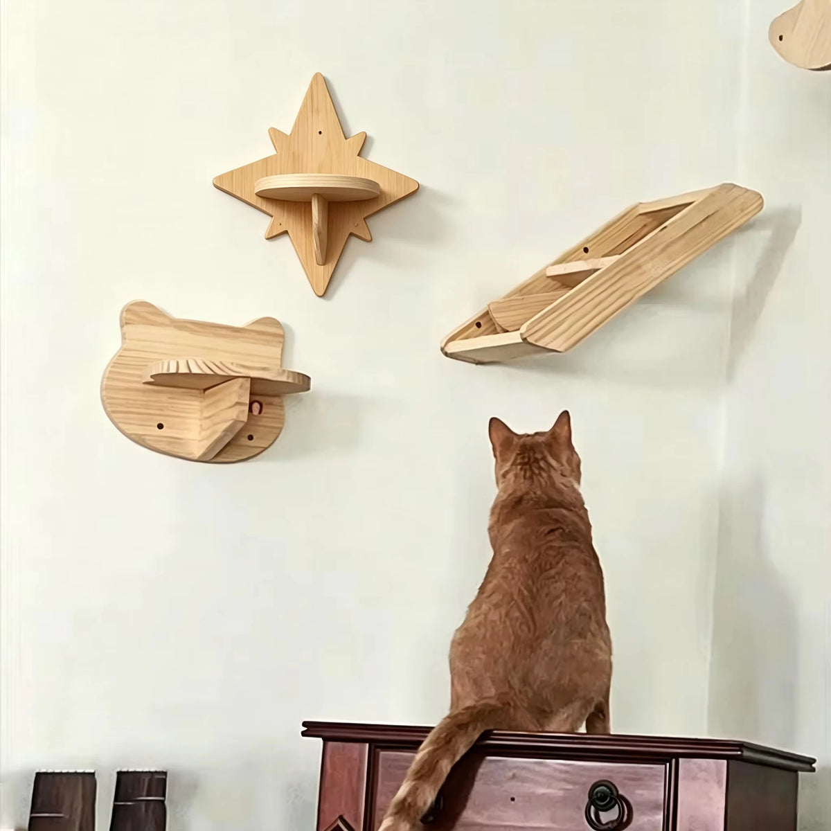 CWV Solid Pine Wood Wall Mounted Cat Climbing Shelves