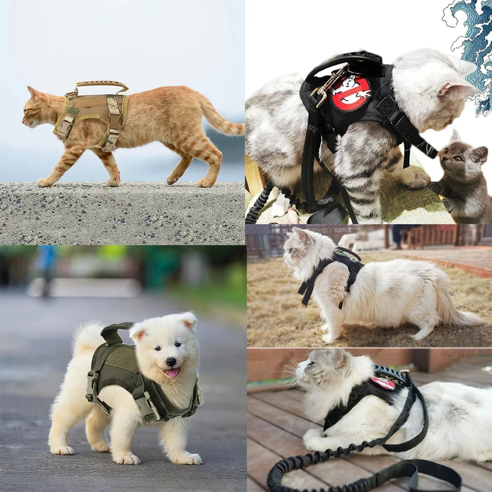 Petavel Tactical Cat Harness With Adjustable Padded Mesh Vest